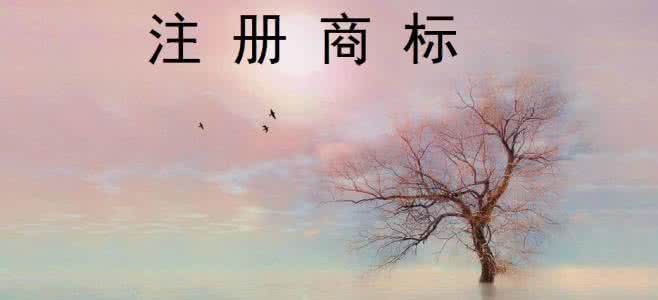 企業(yè)申請?zhí)厥鈽酥旧虡硕夹枰男┵Y料？